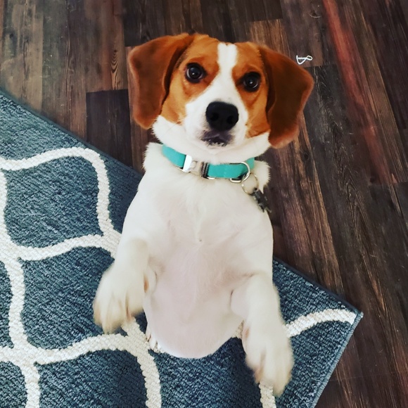 Meet your Posher, Mark - Picture 1 of 2